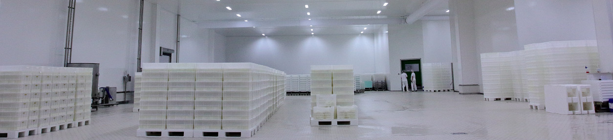 Płyta Warstwowa - Renowacyjna Fiberglass